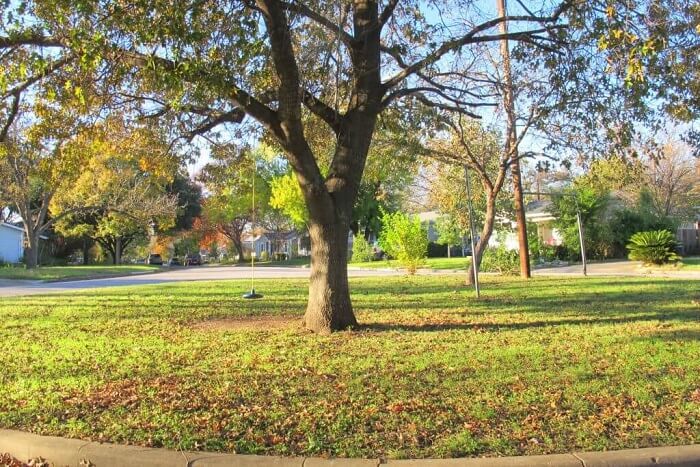 Pocket park near Eilers Street in Hyde Park Austin Texas