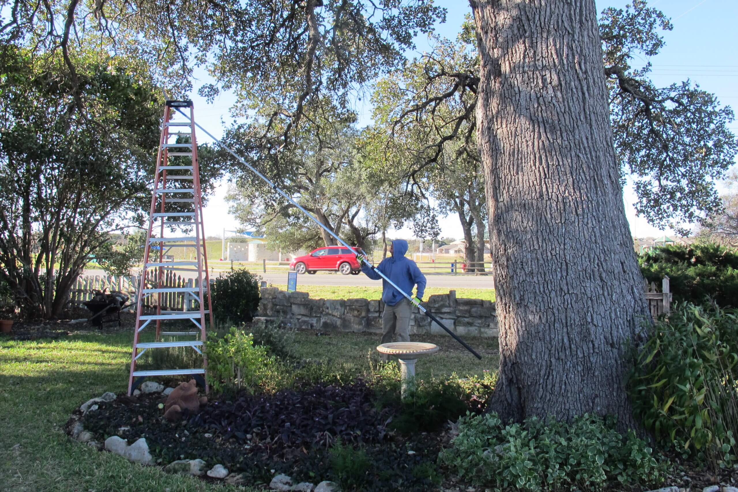Tree work at 600 S Bagdad Road in 2016